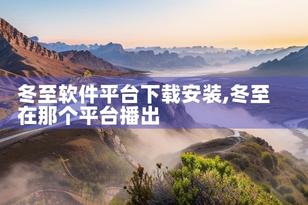 冬至软件平台下载安装