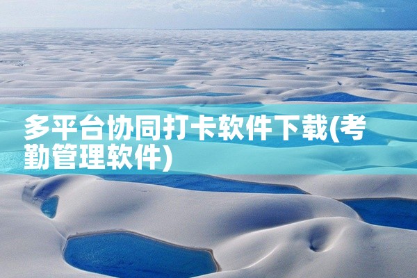 多平台协同打卡软件下载