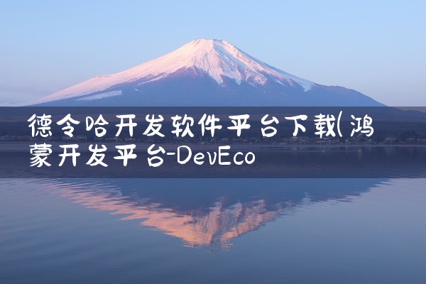 德令哈开发软件平台下载