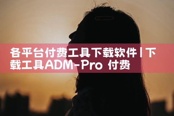 各平台付费工具下载软件