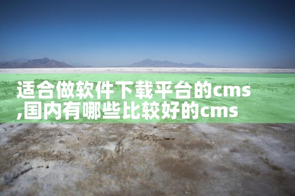 适合做软件下载平台的cms