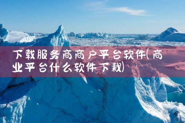 下载服务商商户平台软件