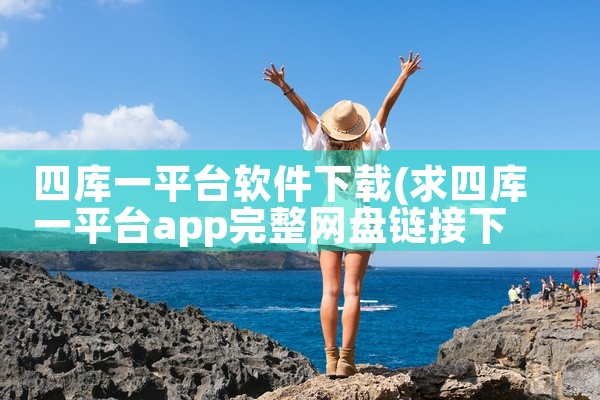 四库一平台软件下载