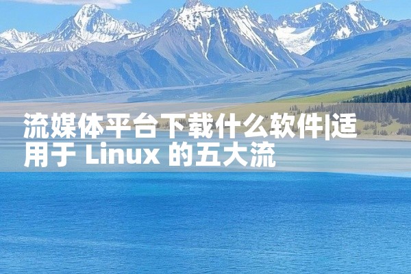 流媒体平台下载什么软件