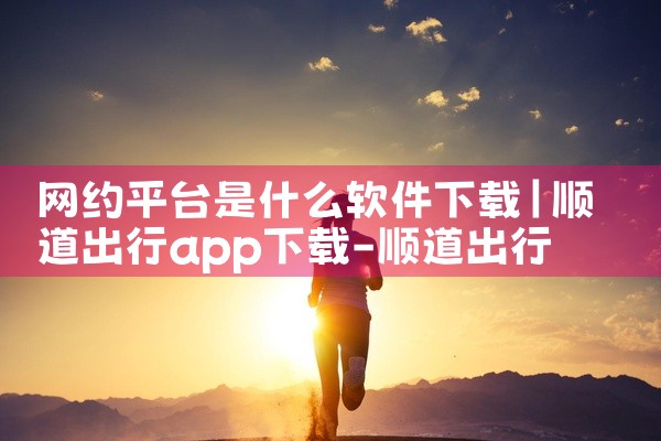 网约平台是什么软件下载